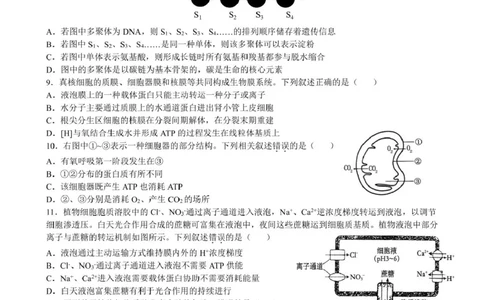 合肥六校联盟2024-2025学年第一学期期末联考高一年级生物生物试卷_2025年02月试卷_0224安徽省合肥市六校联盟2024-2025学年高一上学期1月期末考试