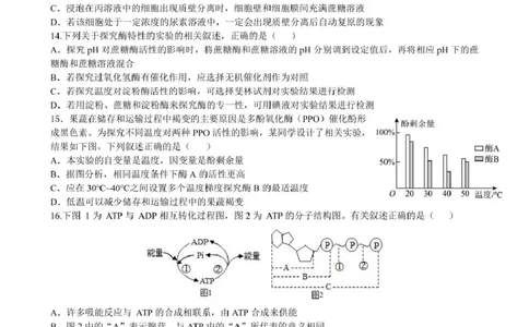 合肥六校联盟2024-2025学年第一学期期末联考高一年级生物生物试卷_2025年02月试卷_0224安徽省合肥市六校联盟2024-2025学年高一上学期1月期末考试