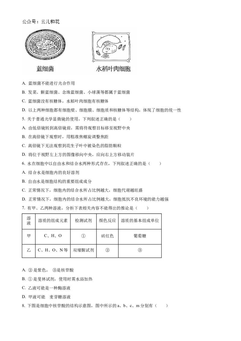 吉林省友好学校第78届期中联考2024-2025学年高一上学期期中考试生物试题Word版无答案_2024年11月试卷_1114吉林省友好学校2024-2025学年高一上学期10月期中联考