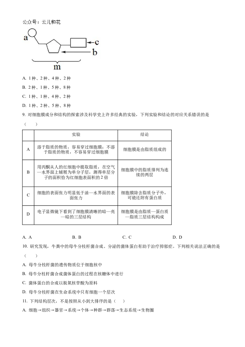 吉林省友好学校第78届期中联考2024-2025学年高一上学期期中考试生物试题Word版无答案_2024年11月试卷_1114吉林省友好学校2024-2025学年高一上学期10月期中联考