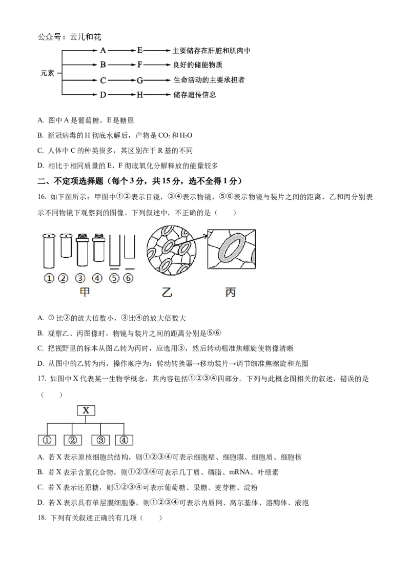 吉林省友好学校第78届期中联考2024-2025学年高一上学期期中考试生物试题Word版无答案_2024年11月试卷_1114吉林省友好学校2024-2025学年高一上学期10月期中联考