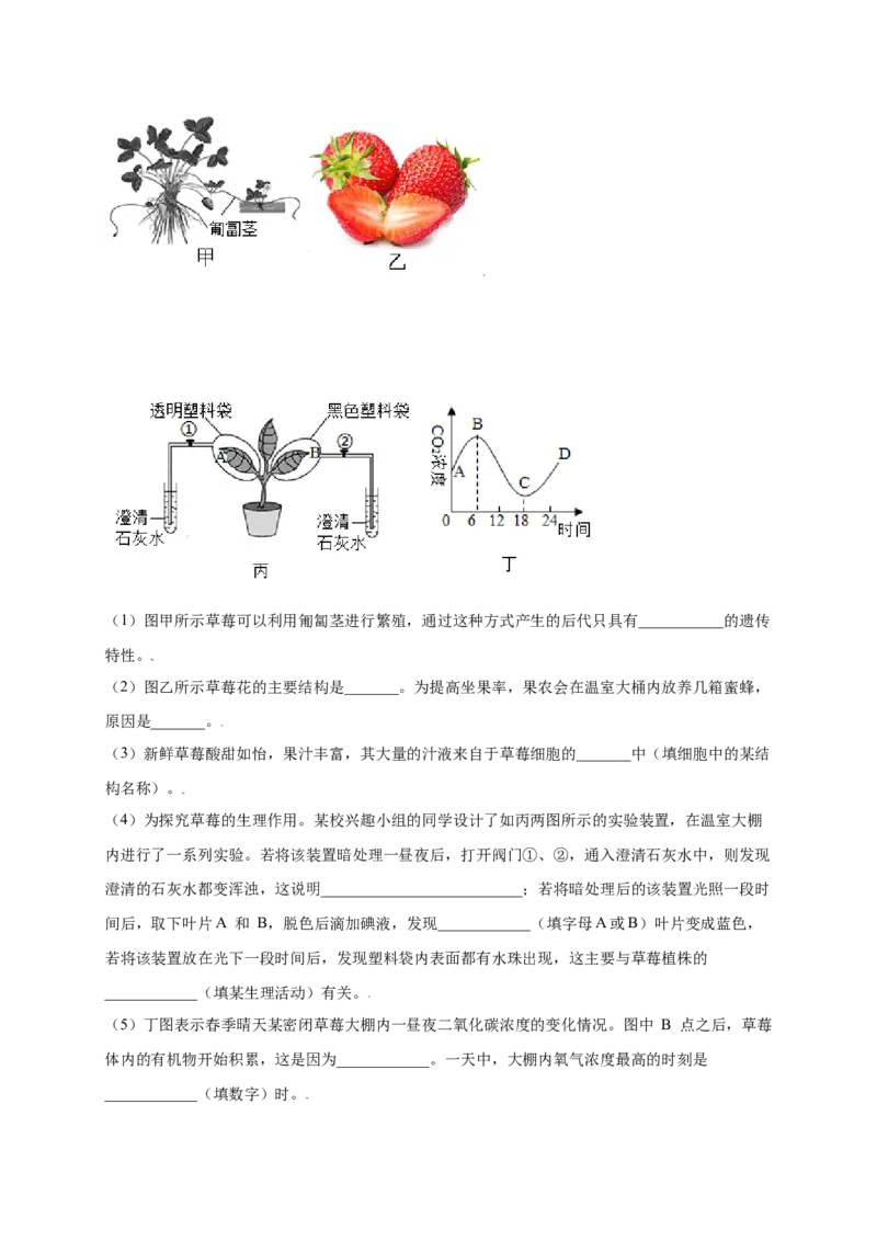 第3单元（第5章）绿色植物与生物圈中的碳-氧平衡（提分小卷）（人教版）（解析版）_初中全科电子版试卷练习试题_生物_生物人教版7上练习&mdash;24新版已更新