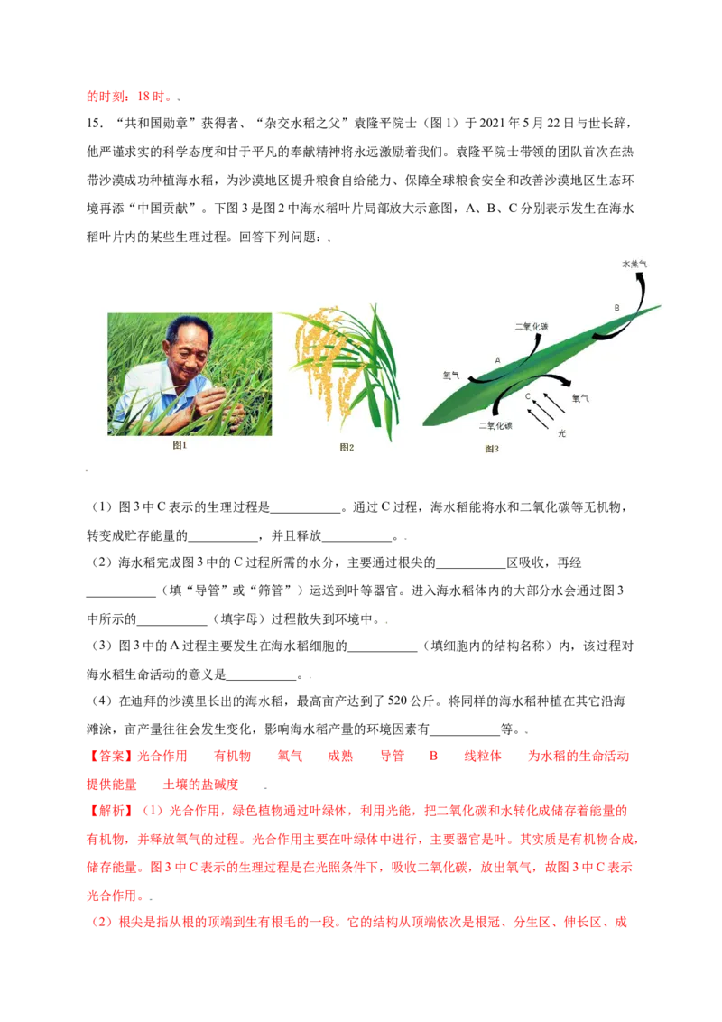第3单元（第5章）绿色植物与生物圈中的碳-氧平衡（提分小卷）（人教版）（解析版）_初中全科电子版试卷练习试题_生物_生物人教版7上练习&mdash;24新版已更新