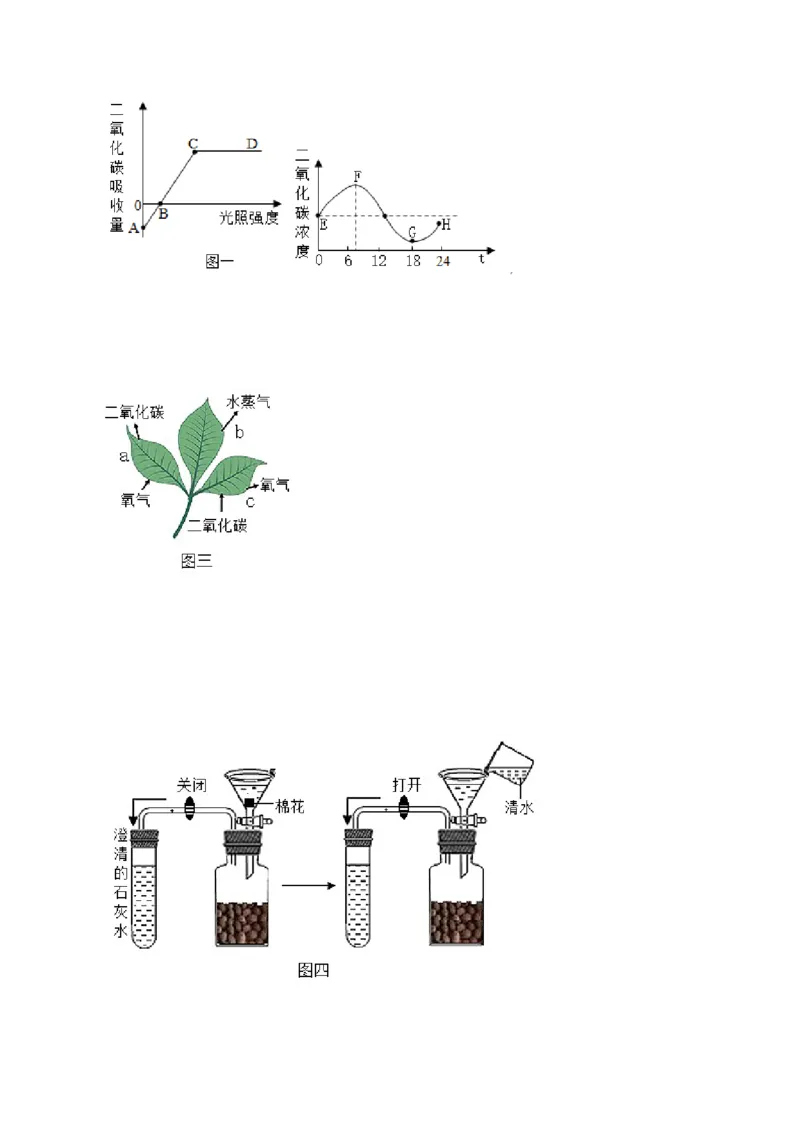 第3单元（第5章）绿色植物与生物圈中的碳-氧平衡（提分小卷）（人教版）（解析版）_初中全科电子版试卷练习试题_生物_生物人教版7上练习&mdash;24新版已更新