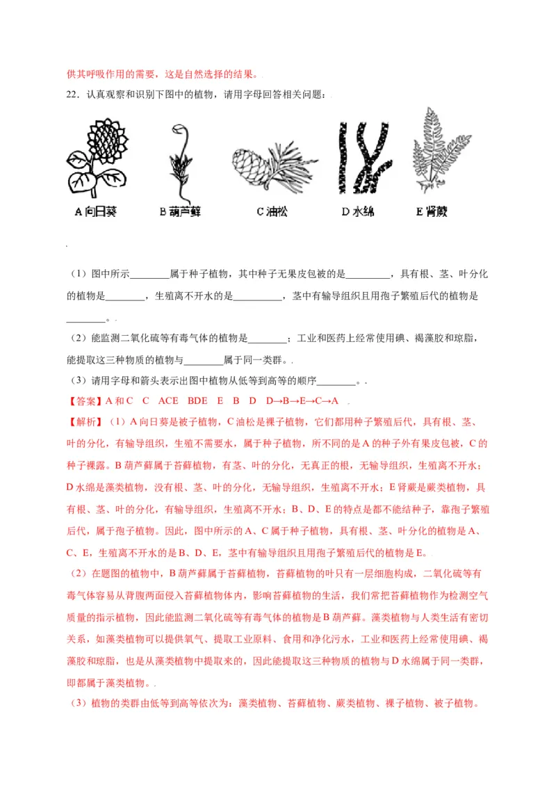 第3单元（第1章）生物圈中有哪些绿色植物（选拔卷）（人教版）（解析版）_初中全科电子版试卷练习试题_生物_生物人教版7上练习&mdash;24新版已更新_人教生物7年级上单元试卷36份