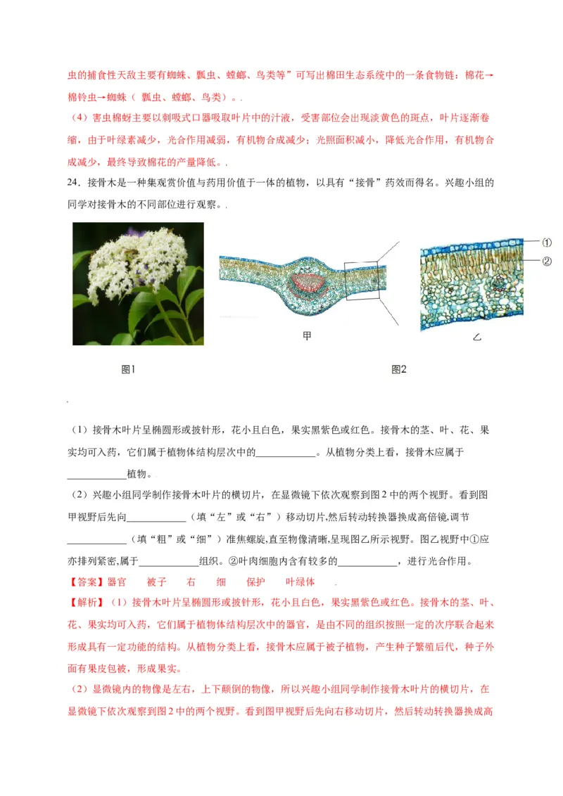 第3单元（第1章）生物圈中有哪些绿色植物（选拔卷）（人教版）（解析版）_初中全科电子版试卷练习试题_生物_生物人教版7上练习&mdash;24新版已更新_人教生物7年级上单元试卷36份