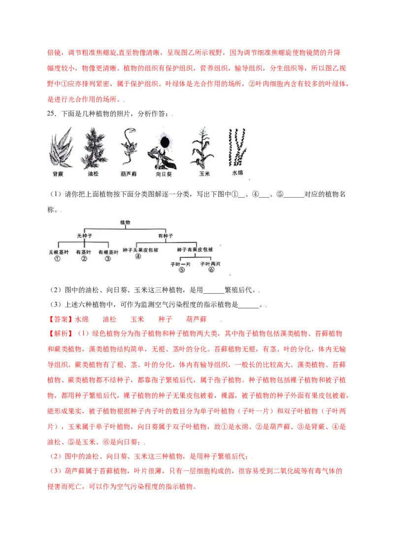 第3单元（第1章）生物圈中有哪些绿色植物（选拔卷）（人教版）（解析版）_初中全科电子版试卷练习试题_生物_生物人教版7上练习&mdash;24新版已更新_人教生物7年级上单元试卷36份