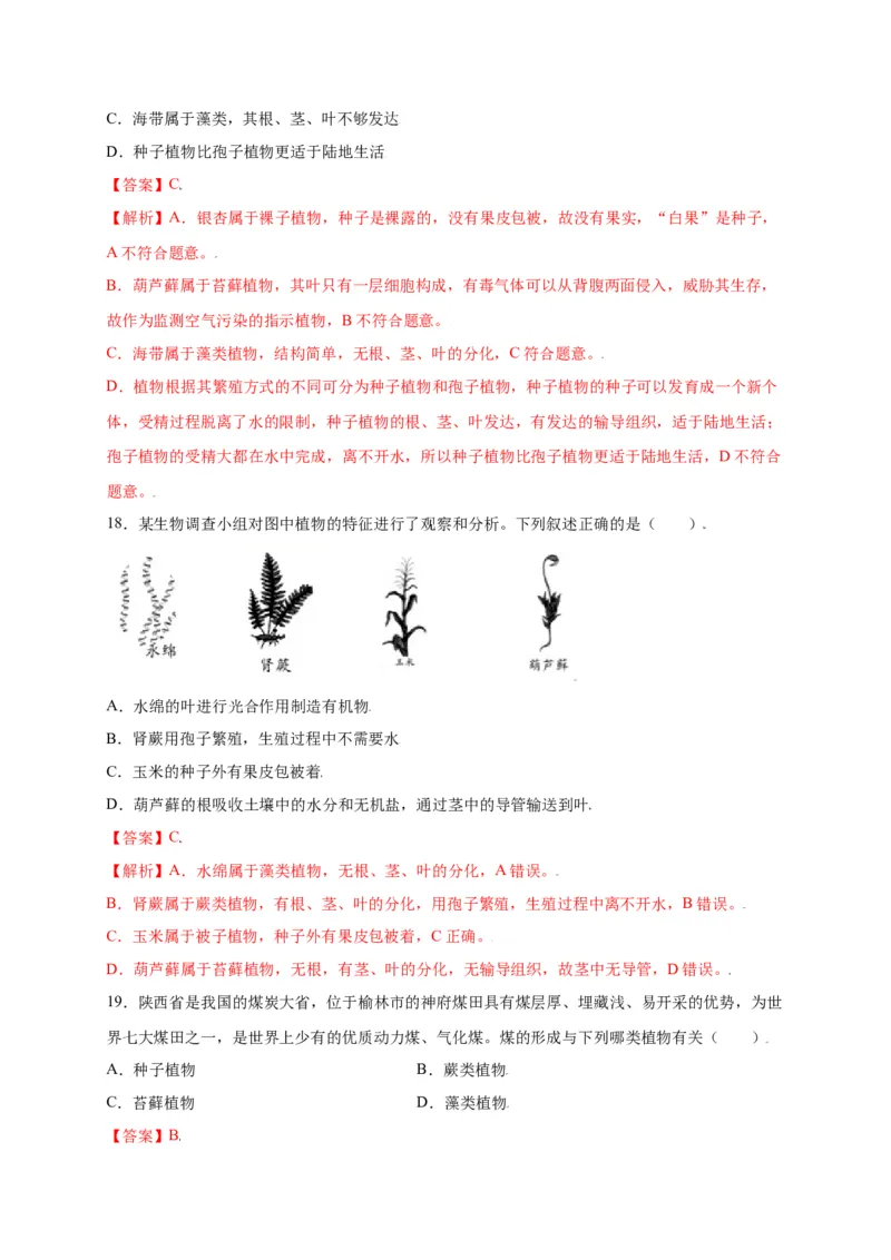 第3单元（第1章）生物圈中有哪些绿色植物（选拔卷）（人教版）（解析版）_初中全科电子版试卷练习试题_生物_生物人教版7上练习&mdash;24新版已更新_人教生物7年级上单元试卷36份