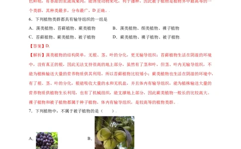 第3单元（第1章）生物圈中有哪些绿色植物（选拔卷）（人教版）（解析版）_初中全科电子版试卷练习试题_生物_生物人教版7上练习&mdash;24新版已更新_人教生物7年级上单元试卷36份