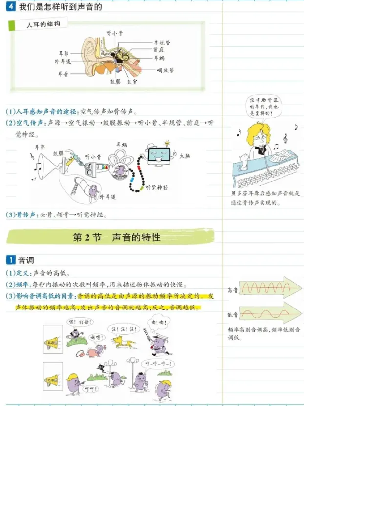 初中物理（八年级上册）彩色学霸笔记_《初中全科目知识点汇总》_初中物理知识点汇总