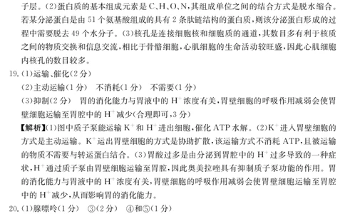 参考答案_2024年12月试卷_1230云南省昆明市五华区2024-2025学年高一上学期12月月考试题_云南省昆明市五华区2024-2025学年高一上学期12月月考生物试题