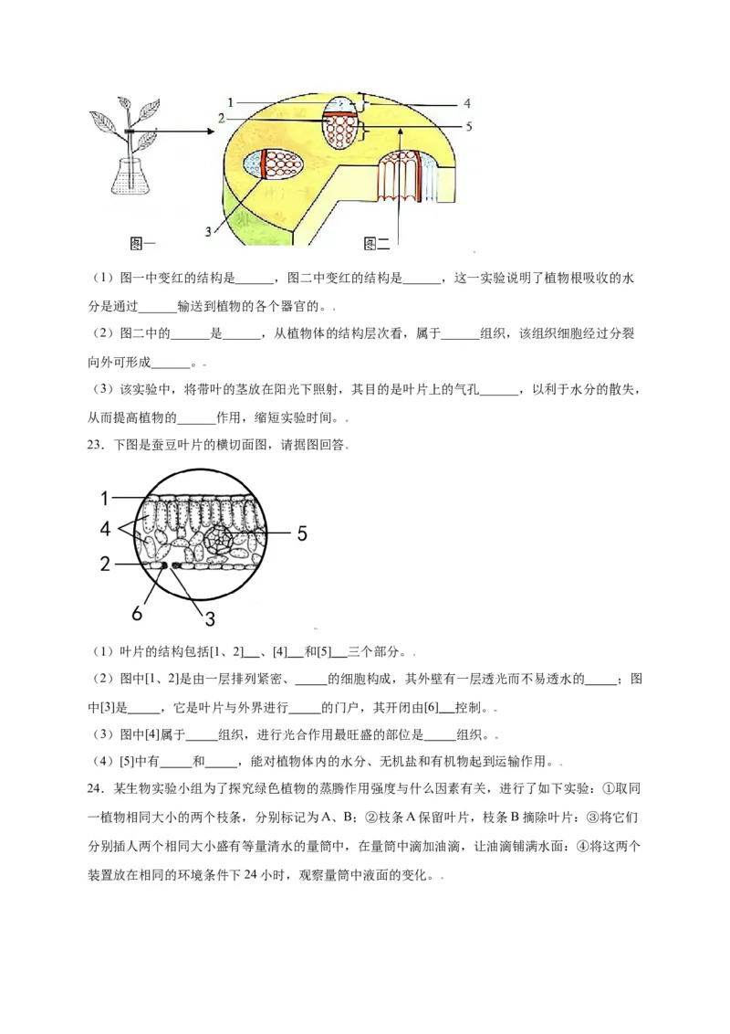 第3单元（第3章）绿色植物与生物圈的水循环（选拔卷）（人教版）（原卷版）_初中全科电子版试卷练习试题_生物_生物人教版7上练习&mdash;24新版已更新