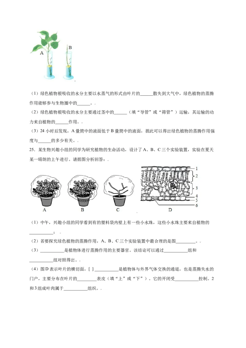 第3单元（第3章）绿色植物与生物圈的水循环（选拔卷）（人教版）（原卷版）_初中全科电子版试卷练习试题_生物_生物人教版7上练习&mdash;24新版已更新