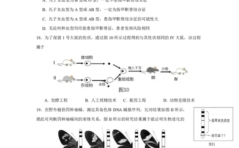 2017年上海市高考生物试题_0122026上海中考一模二模真题试卷_2026年上海一模_上海1500初中高中试卷_高中_高考真题_6.上海高考生物2023-2014