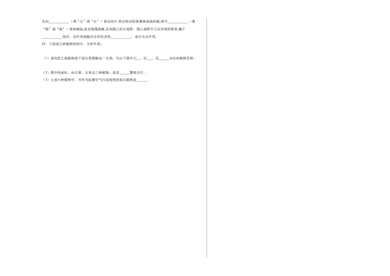 第3单元（第1章）生物圈中有哪些绿色植物（选拔卷）（人教版）（考试版）_初中全科电子版试卷练习试题_生物_生物人教版7上练习&mdash;24新版已更新_人教生物7年级上单元试卷36份