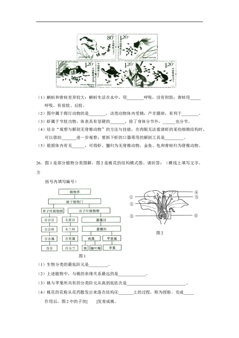 2017年上海市中考生物真题（空白卷）_0122026上海中考一模二模真题试卷_2026年上海一模_上海1500初中高中试卷_初中_上海市历年中考真题_上海市历年中考真题_生物历年中考真题