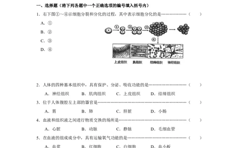 2017年上海市中考生物真题（空白卷）_0122026上海中考一模二模真题试卷_2026年上海一模_上海1500初中高中试卷_初中_上海市历年中考真题_上海市历年中考真题_生物历年中考真题