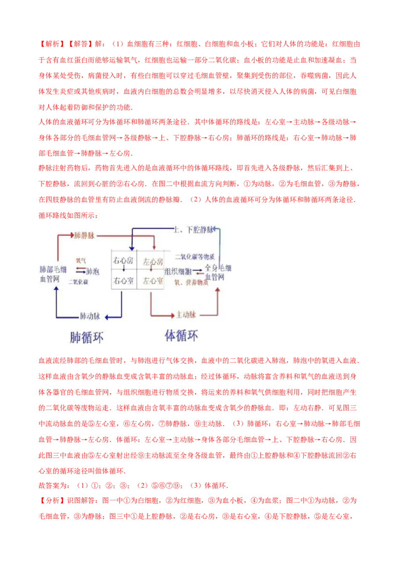 第4章人体内物质的运输（人教版）(解析版）_初中全科电子版试卷练习试题_生物_生物人教版7下练习_人教生物7年级下单元试卷33份