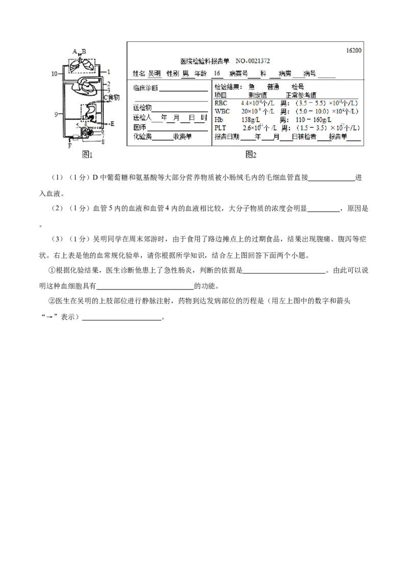 第4章人体内物质的运输（人教版）(解析版）_初中全科电子版试卷练习试题_生物_生物人教版7下练习_人教生物7年级下单元试卷33份