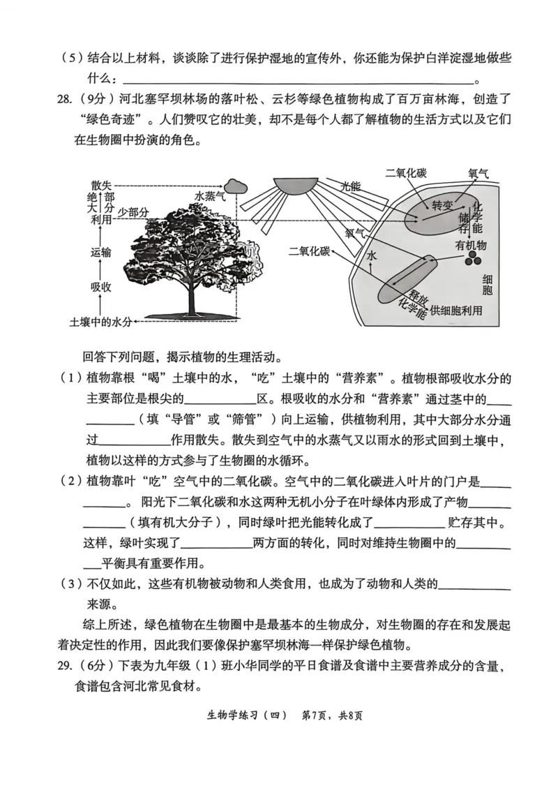 2026年麒麟卷生物学（四）_2026河北麒麟卷生物