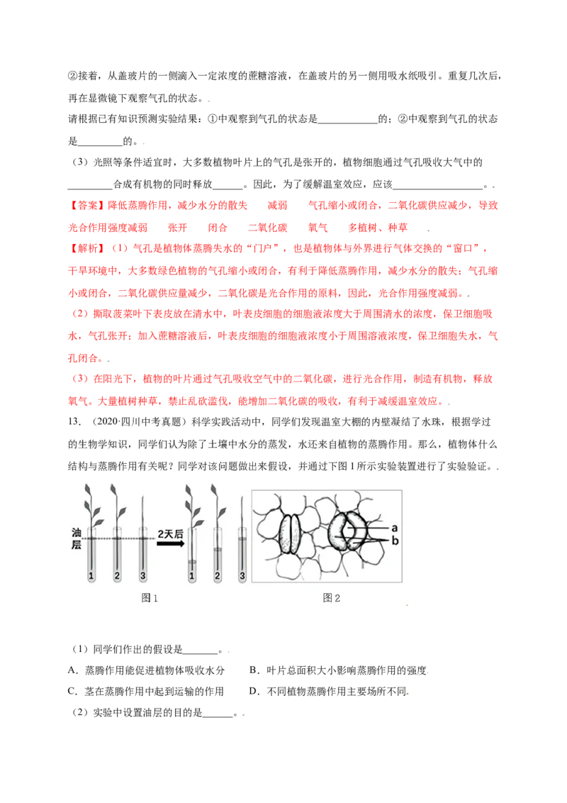 第3单元（第3章）绿色植物与生物圈的水循环（提分小卷）（人教版）（解析版）_初中全科电子版试卷练习试题_生物_生物人教版7上练习&mdash;24新版已更新