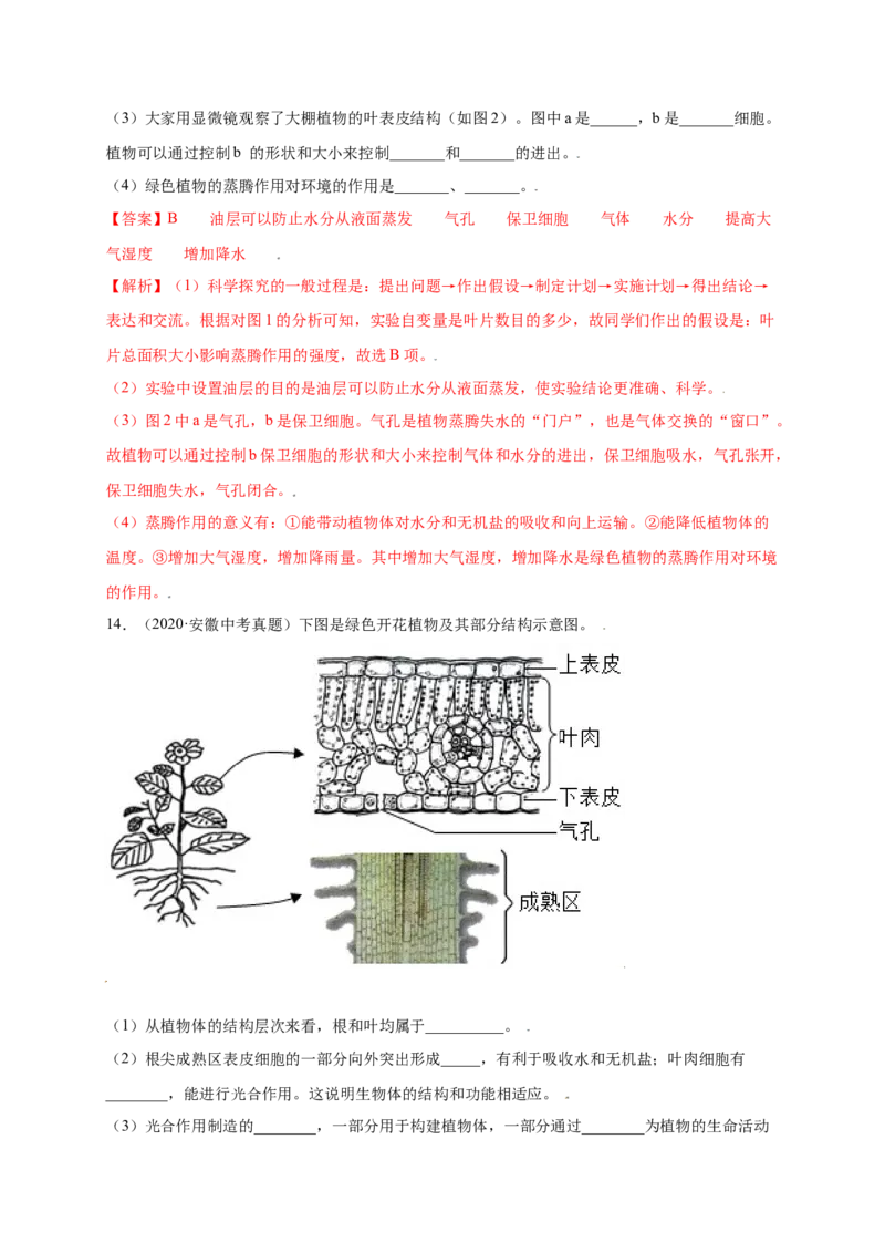 第3单元（第3章）绿色植物与生物圈的水循环（提分小卷）（人教版）（解析版）_初中全科电子版试卷练习试题_生物_生物人教版7上练习&mdash;24新版已更新