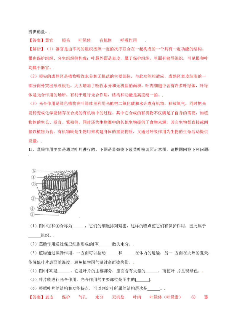 第3单元（第3章）绿色植物与生物圈的水循环（提分小卷）（人教版）（解析版）_初中全科电子版试卷练习试题_生物_生物人教版7上练习&mdash;24新版已更新
