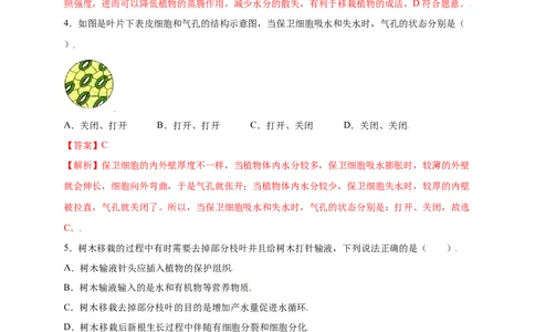 第3单元（第3章）绿色植物与生物圈的水循环（提分小卷）（人教版）（解析版）_初中全科电子版试卷练习试题_生物_生物人教版7上练习&mdash;24新版已更新