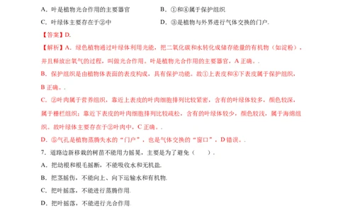 第3单元（第3章）绿色植物与生物圈的水循环（提分小卷）（人教版）（解析版）_初中全科电子版试卷练习试题_生物_生物人教版7上练习&mdash;24新版已更新
