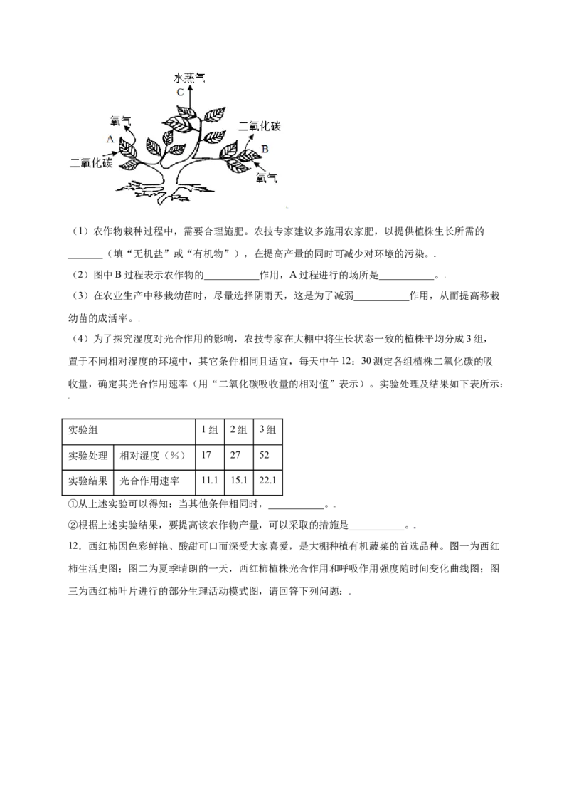 第3单元（第5章）绿色植物与生物圈中的碳-氧平衡（提分小卷）（人教版）（原卷版）_初中全科电子版试卷练习试题_生物_生物人教版7上练习&mdash;24新版已更新