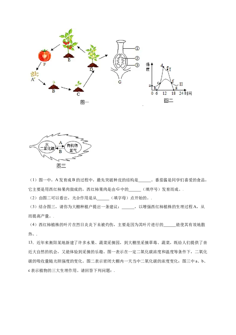 第3单元（第5章）绿色植物与生物圈中的碳-氧平衡（提分小卷）（人教版）（原卷版）_初中全科电子版试卷练习试题_生物_生物人教版7上练习&mdash;24新版已更新