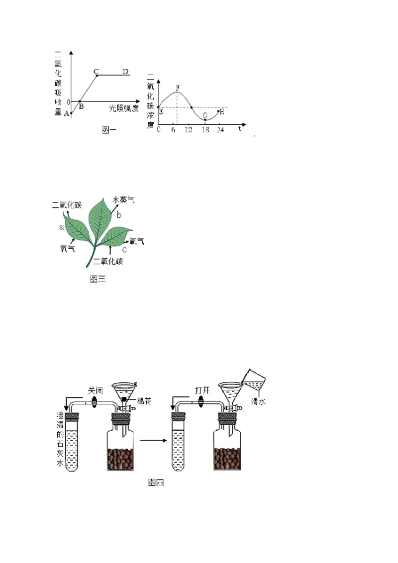 第3单元（第5章）绿色植物与生物圈中的碳-氧平衡（提分小卷）（人教版）（原卷版）_初中全科电子版试卷练习试题_生物_生物人教版7上练习&mdash;24新版已更新
