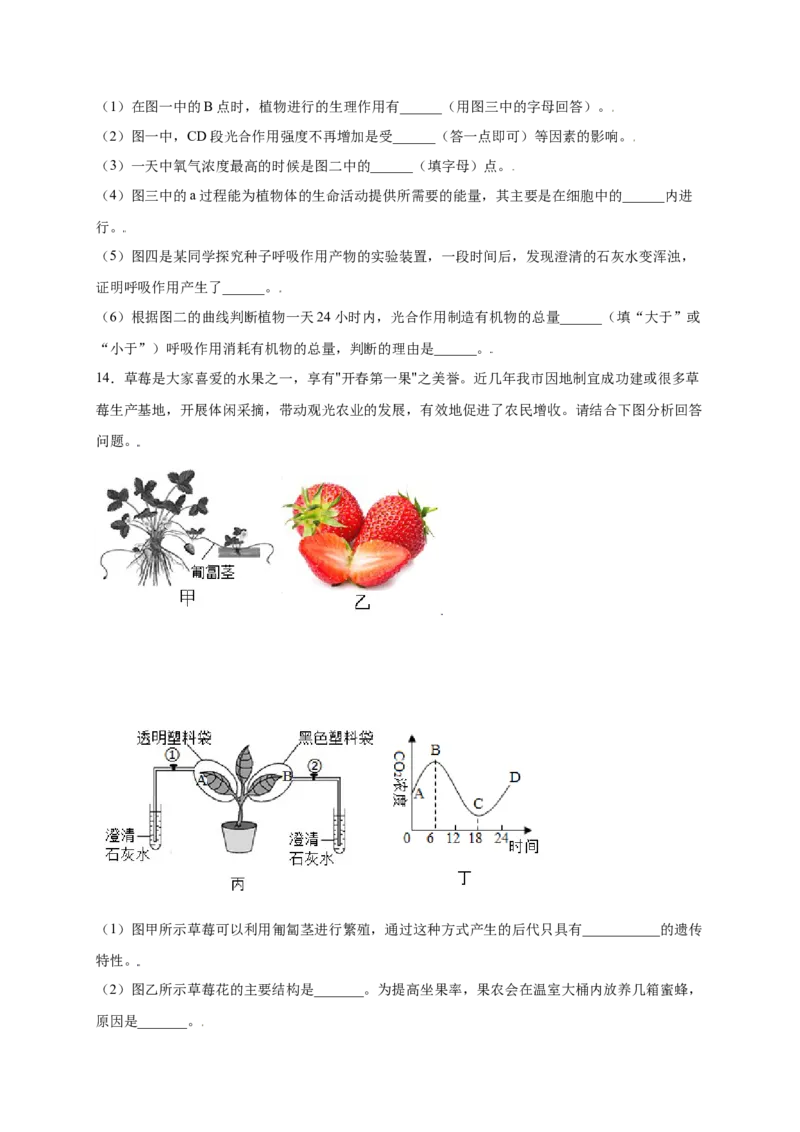 第3单元（第5章）绿色植物与生物圈中的碳-氧平衡（提分小卷）（人教版）（原卷版）_初中全科电子版试卷练习试题_生物_生物人教版7上练习&mdash;24新版已更新