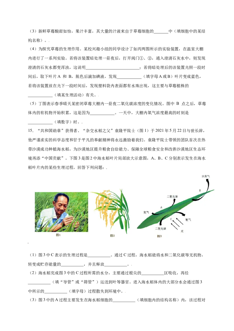 第3单元（第5章）绿色植物与生物圈中的碳-氧平衡（提分小卷）（人教版）（原卷版）_初中全科电子版试卷练习试题_生物_生物人教版7上练习&mdash;24新版已更新