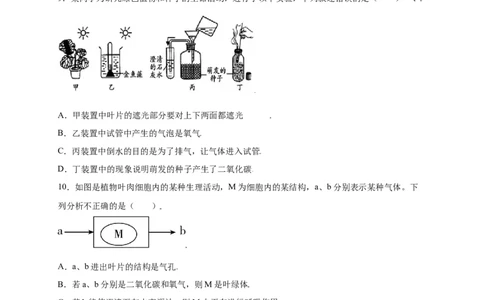 第3单元（第5章）绿色植物与生物圈中的碳-氧平衡（提分小卷）（人教版）（原卷版）_初中全科电子版试卷练习试题_生物_生物人教版7上练习&mdash;24新版已更新