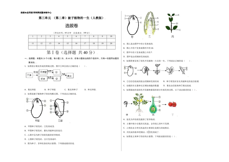 第3单元（第2章）被子植物的一生（选拔卷）（人教版）（考试版）_初中全科电子版试卷练习试题_生物_生物人教版7上练习&mdash;24新版已更新_人教生物7年级上单元试卷36份