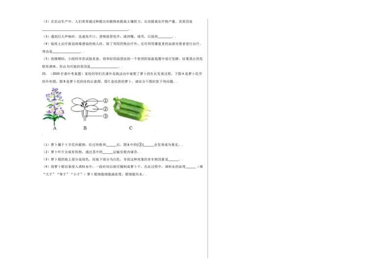 第3单元（第2章）被子植物的一生（选拔卷）（人教版）（考试版）_初中全科电子版试卷练习试题_生物_生物人教版7上练习&mdash;24新版已更新_人教生物7年级上单元试卷36份