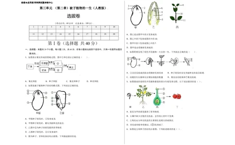 第3单元（第2章）被子植物的一生（选拔卷）（人教版）（考试版）_初中全科电子版试卷练习试题_生物_生物人教版7上练习&mdash;24新版已更新_人教生物7年级上单元试卷36份
