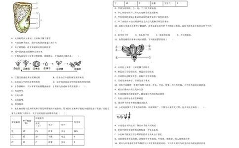 第3单元（第2章）被子植物的一生（选拔卷）（人教版）（考试版）_初中全科电子版试卷练习试题_生物_生物人教版7上练习&mdash;24新版已更新_人教生物7年级上单元试卷36份