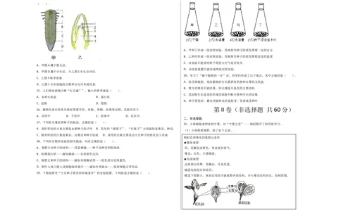第3单元（第2章）被子植物的一生（选拔卷）（人教版）（考试版）_初中全科电子版试卷练习试题_生物_生物人教版7上练习&mdash;24新版已更新_人教生物7年级上单元试卷36份