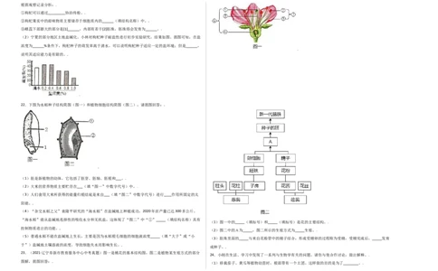 第3单元（第2章）被子植物的一生（选拔卷）（人教版）（考试版）_初中全科电子版试卷练习试题_生物_生物人教版7上练习&mdash;24新版已更新_人教生物7年级上单元试卷36份