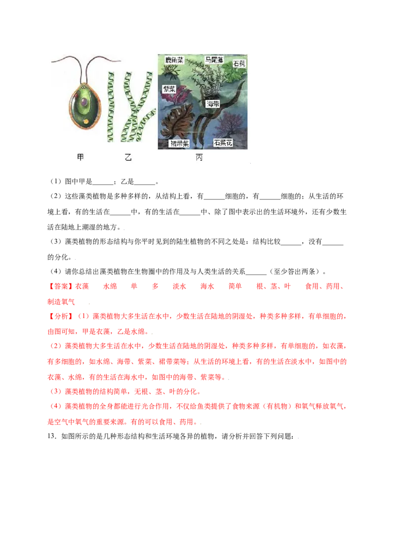 第3单元（第1章）生物圈中有哪些绿色植物（提分小卷）（人教版）（解析版）_初中全科电子版试卷练习试题_生物_生物人教版7上练习&mdash;24新版已更新