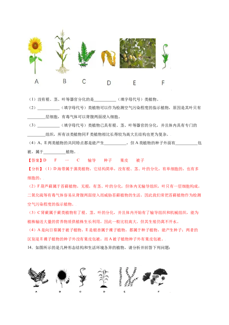 第3单元（第1章）生物圈中有哪些绿色植物（提分小卷）（人教版）（解析版）_初中全科电子版试卷练习试题_生物_生物人教版7上练习&mdash;24新版已更新