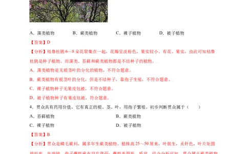第3单元（第1章）生物圈中有哪些绿色植物（提分小卷）（人教版）（解析版）_初中全科电子版试卷练习试题_生物_生物人教版7上练习&mdash;24新版已更新