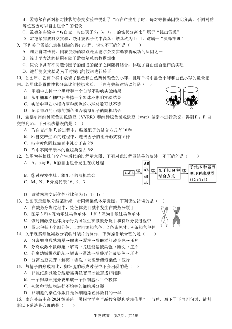 南充高中高2024级第二学期第一次月考生物2025.3.26_2025年04月试卷_0406四川省南充市高级中学2024-2025学年高一下学期4月考试题