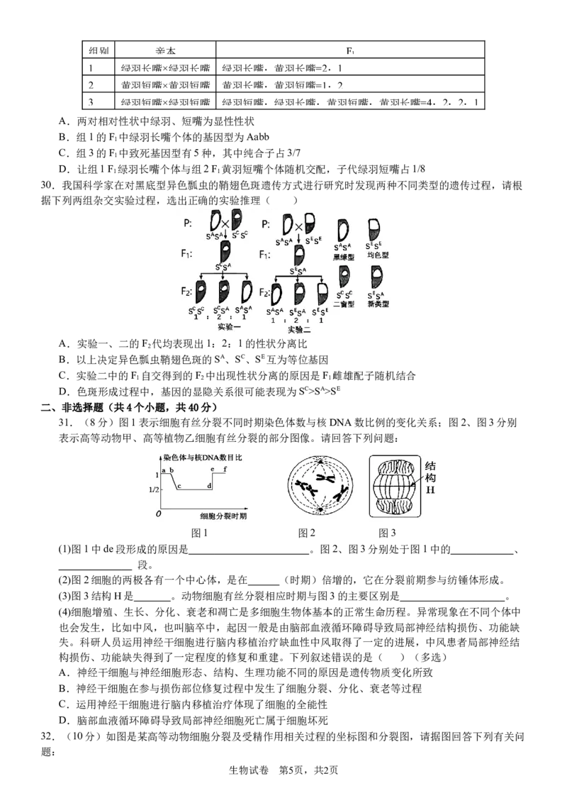 南充高中高2024级第二学期第一次月考生物2025.3.26_2025年04月试卷_0406四川省南充市高级中学2024-2025学年高一下学期4月考试题