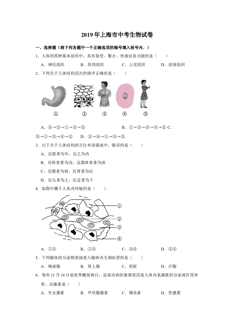 2019年上海市中考生物真题（空白卷）_0122026上海中考一模二模真题试卷_2026年上海一模_上海1500初中高中试卷_初中_上海市历年中考真题_上海市历年中考真题_生物历年中考真题