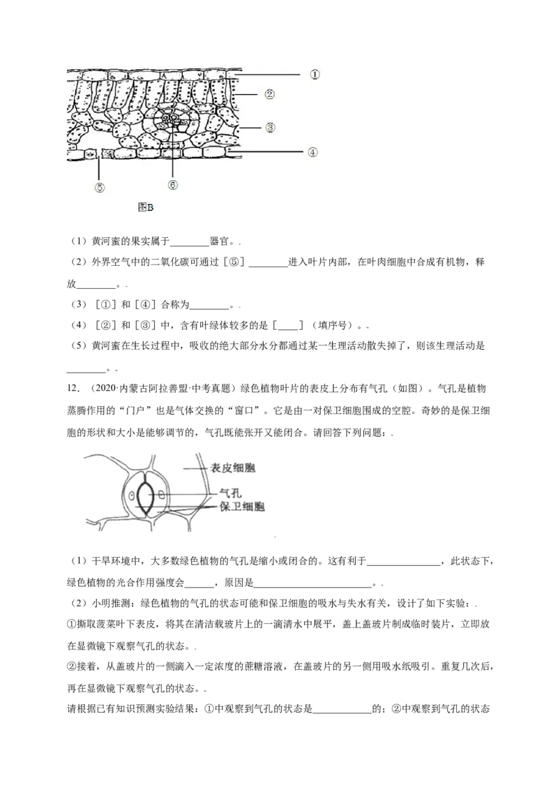 第3单元（第3章）绿色植物与生物圈的水循环（提分小卷）（人教版）（原卷版）_初中全科电子版试卷练习试题_生物_生物人教版7上练习&mdash;24新版已更新