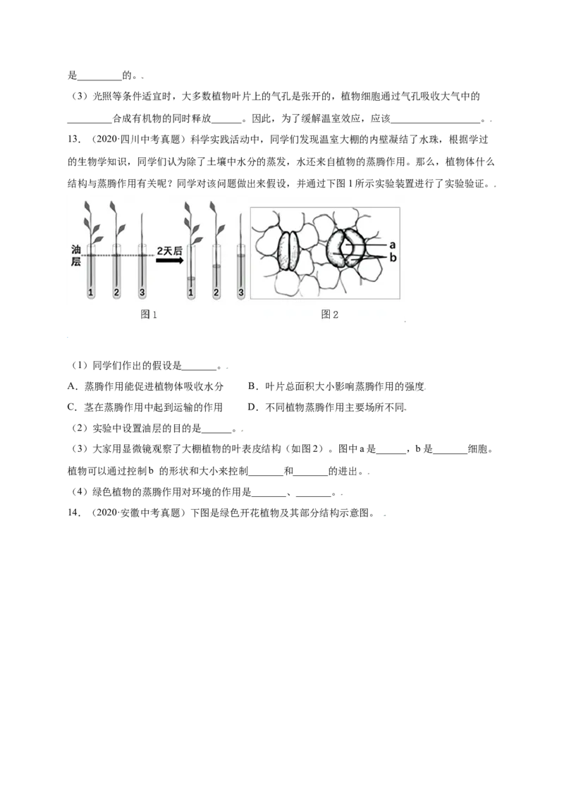 第3单元（第3章）绿色植物与生物圈的水循环（提分小卷）（人教版）（原卷版）_初中全科电子版试卷练习试题_生物_生物人教版7上练习&mdash;24新版已更新