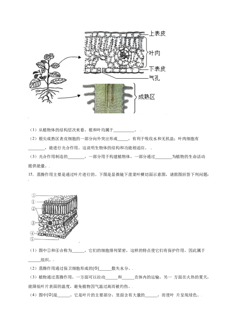 第3单元（第3章）绿色植物与生物圈的水循环（提分小卷）（人教版）（原卷版）_初中全科电子版试卷练习试题_生物_生物人教版7上练习&mdash;24新版已更新
